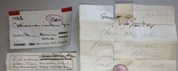 Media type: image; Invertebrate Zoology OPH-1668 Description: Labels;